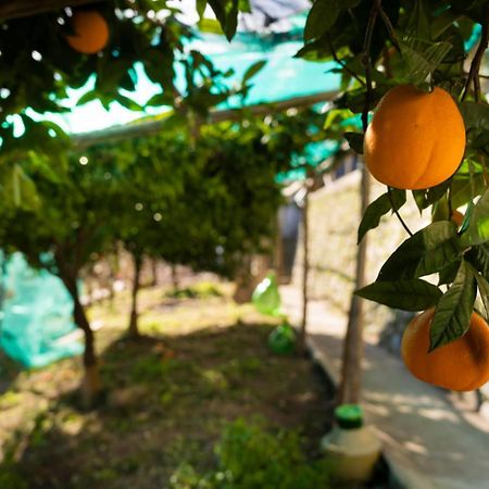 阿马尔菲Casa Primula别墅 外观 照片